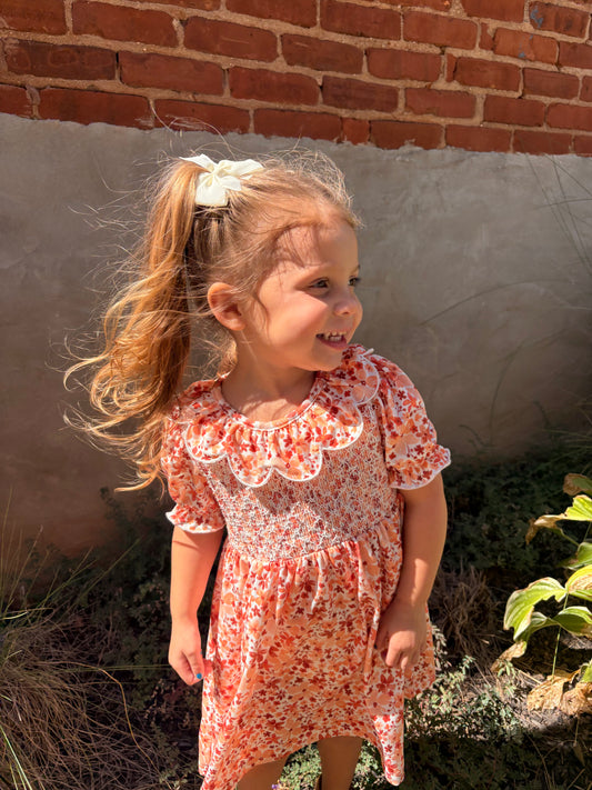 “Fall Rust Floral Baby Girls Dress”